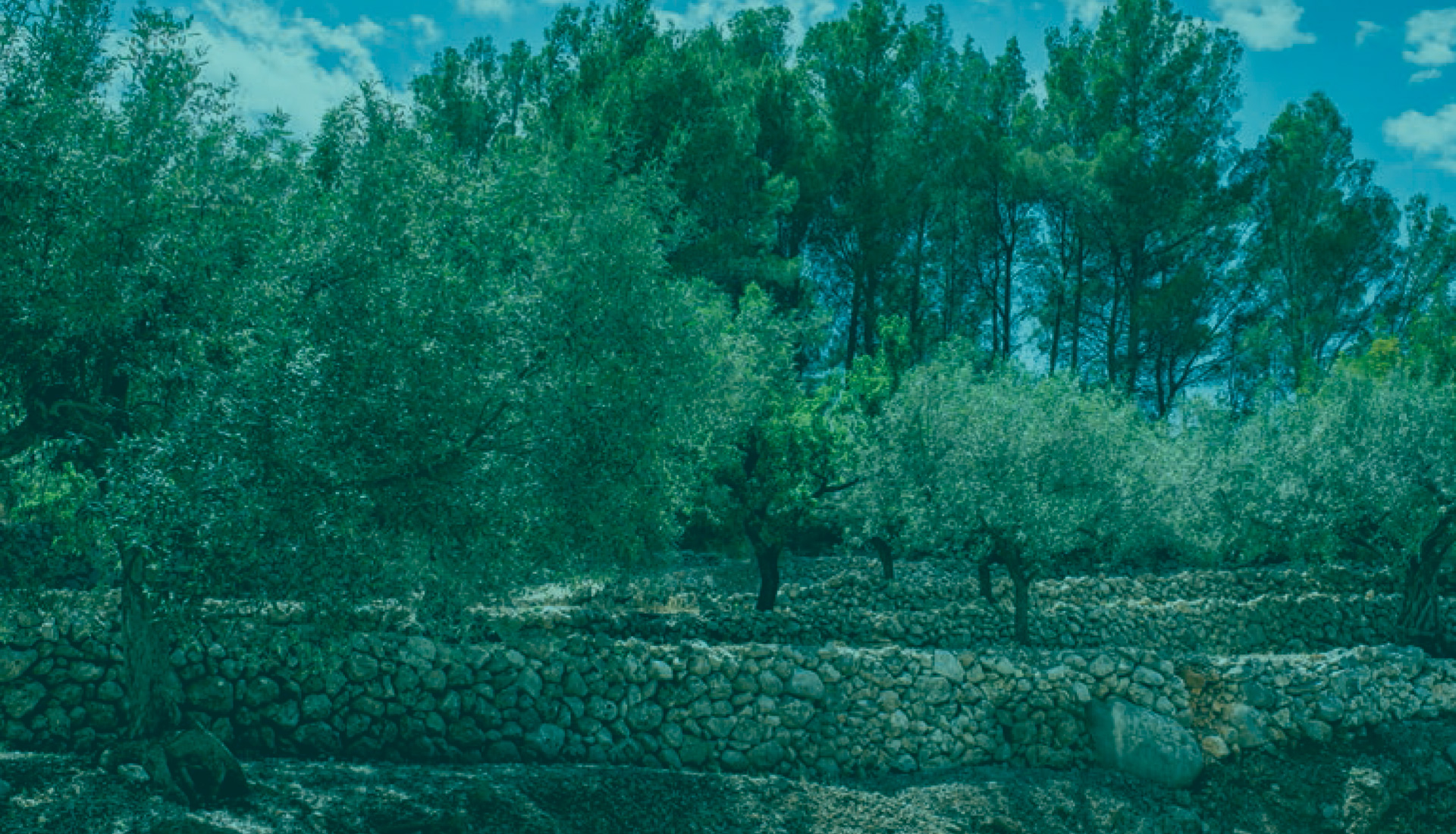 parallax background