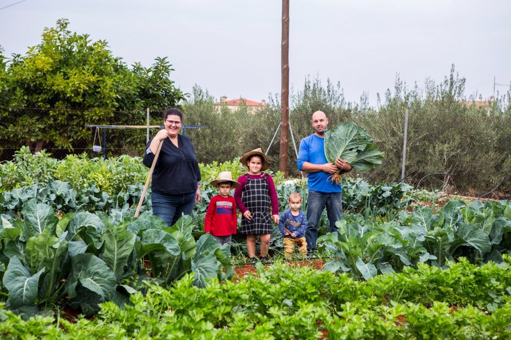 Sostenibilitat, ecologia i qualitat al camp. L’Hort de Neli a Pedreguer